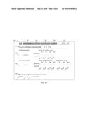 COMPUTERIZED REFRACTION PRESCRIPTION DETERMINATION WITH SPHERE CALCULATION diagram and image