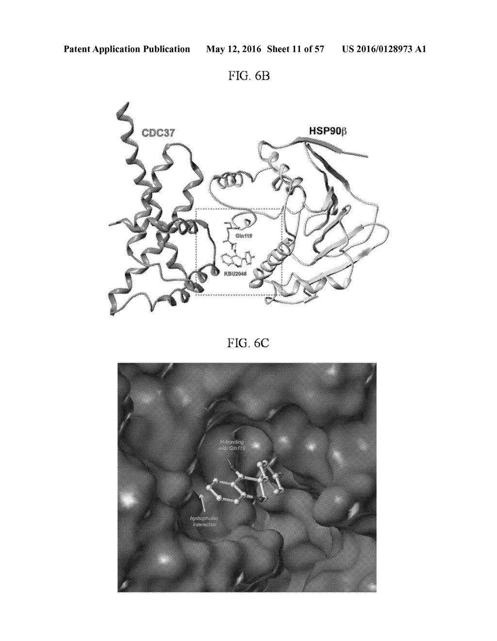 INHIBITION OF CANCER CELL MOTILITY - diagram, schematic, and image 12