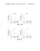 ANTI-CXCR4 AS A SENSITIZER TO CANCER THERAPEUTICS diagram and image