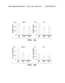 ANTI-CXCR4 AS A SENSITIZER TO CANCER THERAPEUTICS diagram and image