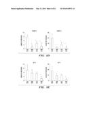 ANTI-CXCR4 AS A SENSITIZER TO CANCER THERAPEUTICS diagram and image