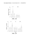 ANTI-CXCR4 AS A SENSITIZER TO CANCER THERAPEUTICS diagram and image