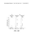 ANTI-CXCR4 AS A SENSITIZER TO CANCER THERAPEUTICS diagram and image