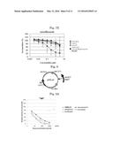 COMBINED ANTI-ACID-FAST BACTERIAL AGENT, SCREENING METHOD FOR     ANTI-ACID-FAST BACTERIAL AGENTS, AND ACTIVITY INHIBITOR OF WecA OR     ORTHOLOG THEREOF diagram and image