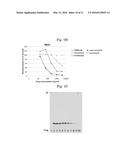 COMBINED ANTI-ACID-FAST BACTERIAL AGENT, SCREENING METHOD FOR     ANTI-ACID-FAST BACTERIAL AGENTS, AND ACTIVITY INHIBITOR OF WecA OR     ORTHOLOG THEREOF diagram and image