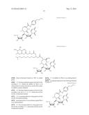 COMBINED ANTI-ACID-FAST BACTERIAL AGENT, SCREENING METHOD FOR     ANTI-ACID-FAST BACTERIAL AGENTS, AND ACTIVITY INHIBITOR OF WecA OR     ORTHOLOG THEREOF diagram and image