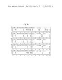 LACTOBACILLUS BREVIS G-101 STRAIN AND USE THEREOF diagram and image