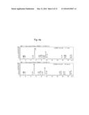 LACTOBACILLUS BREVIS G-101 STRAIN AND USE THEREOF diagram and image