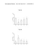 LACTOBACILLUS BREVIS G-101 STRAIN AND USE THEREOF diagram and image