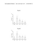 LACTOBACILLUS BREVIS G-101 STRAIN AND USE THEREOF diagram and image