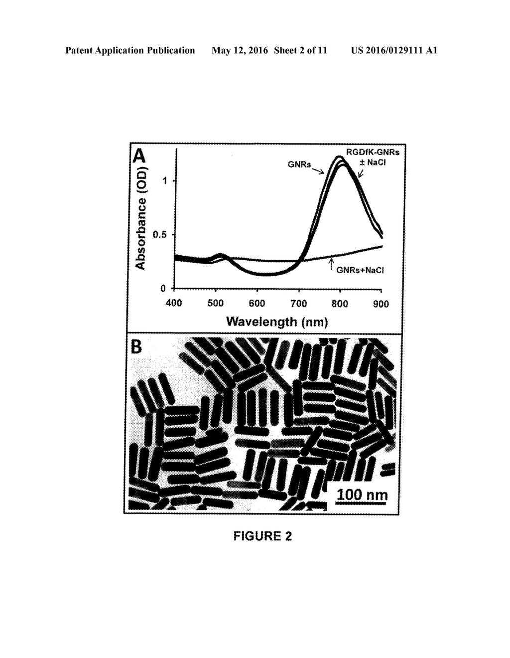 METHODS FOR DELIVERING AN ANTI-CANCER AGENT TO A TUMOR - diagram, schematic, and image 03