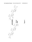 Derivatisation of Erythropoietin (EPO) diagram and image