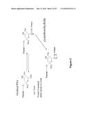 Derivatisation of Erythropoietin (EPO) diagram and image