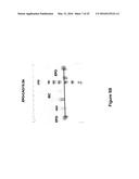 Derivatisation of Erythropoietin (EPO) diagram and image