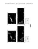 Derivatisation of Erythropoietin (EPO) diagram and image