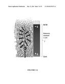 COMPOUNDS AND METHODS FOR TRANS-MEMBRANE DELIVERY OF MOLECULES diagram and image