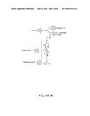 COMPOUNDS AND METHODS FOR TRANS-MEMBRANE DELIVERY OF MOLECULES diagram and image