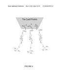 COMPOUNDS AND METHODS FOR TRANS-MEMBRANE DELIVERY OF MOLECULES diagram and image