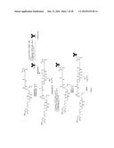 ANTIBODY DRUG CONJUGATES diagram and image