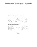 Nano-calcium phosphate-coated polymethylmethacrylate-based co-polymer and     coating process of the same diagram and image