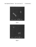 Nano-calcium phosphate-coated polymethylmethacrylate-based co-polymer and     coating process of the same diagram and image