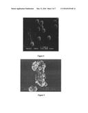 Nano-calcium phosphate-coated polymethylmethacrylate-based co-polymer and     coating process of the same diagram and image