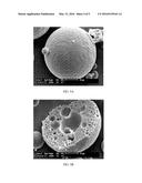 MICRO-NEEDLE AND MICRO-NEEDLE PATCH diagram and image