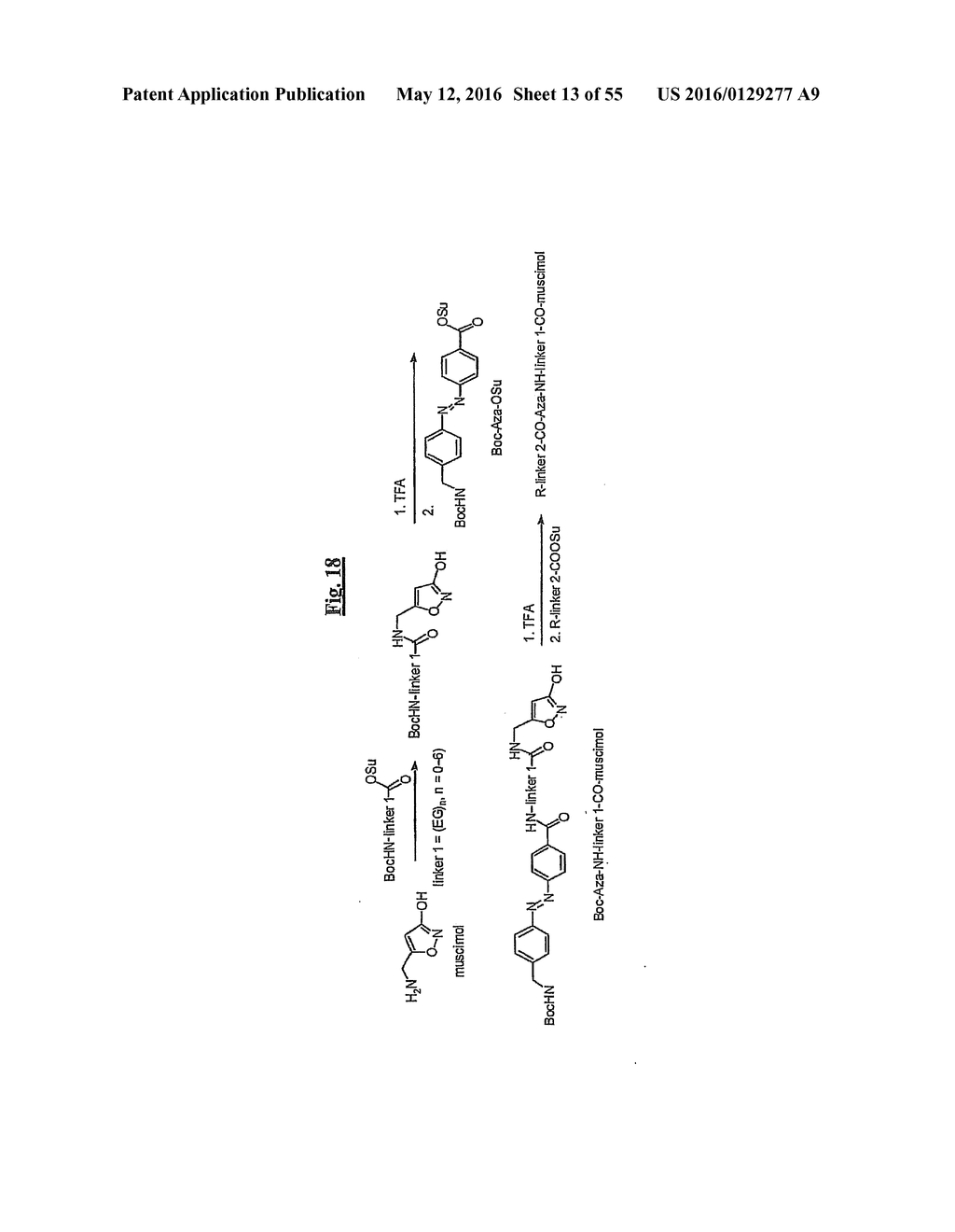 Nanoscale Neuromodulating Platform for Retina Neuron Activation Apparatus     and Method - diagram, schematic, and image 14