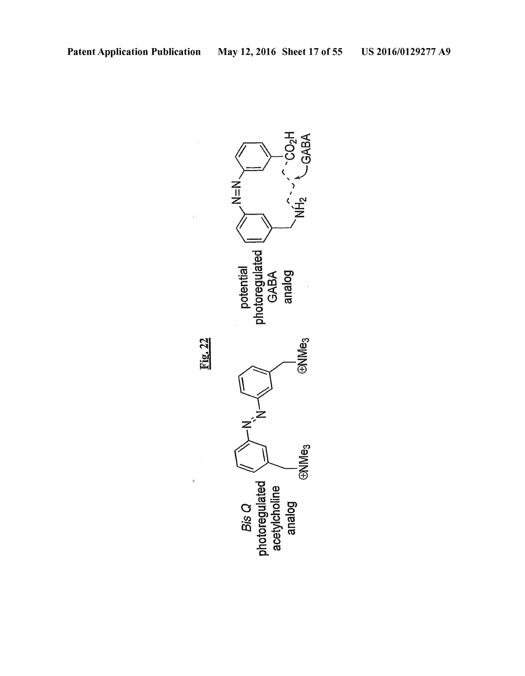 Nanoscale Neuromodulating Platform for Retina Neuron Activation Apparatus     and Method - diagram, schematic, and image 18