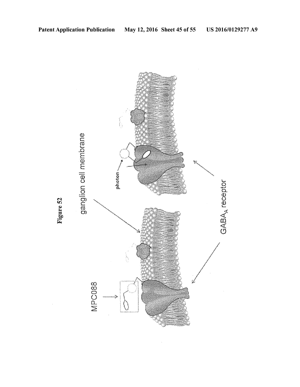 Nanoscale Neuromodulating Platform for Retina Neuron Activation Apparatus     and Method - diagram, schematic, and image 46
