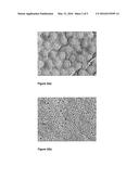 DOPING OF INORGANIC MINERALS TO HYDROPHOBIC MEMBRANE SURFACE diagram and image