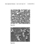 DOPING OF INORGANIC MINERALS TO HYDROPHOBIC MEMBRANE SURFACE diagram and image