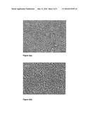 DOPING OF INORGANIC MINERALS TO HYDROPHOBIC MEMBRANE SURFACE diagram and image