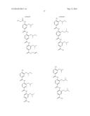 OLIGO-BENZAMIDE COMPOUNDS AND THEIR USE diagram and image