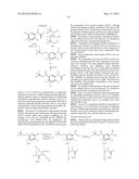 ARYL SULFIDE DERIVATIVES AND ARYL SULFOXIDE DERIVATIVES AS ACARICIDES AND     INSECTICIDES diagram and image