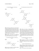 ARYL SULFIDE DERIVATIVES AND ARYL SULFOXIDE DERIVATIVES AS ACARICIDES AND     INSECTICIDES diagram and image