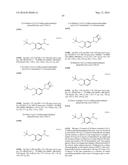 ARYL SULFIDE DERIVATIVES AND ARYL SULFOXIDE DERIVATIVES AS ACARICIDES AND     INSECTICIDES diagram and image