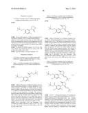 ARYL SULFIDE DERIVATIVES AND ARYL SULFOXIDE DERIVATIVES AS ACARICIDES AND     INSECTICIDES diagram and image