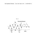 Macrocyclic proteasome inhibitors diagram and image