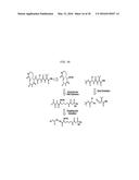 Macrocyclic proteasome inhibitors diagram and image