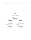 Macrocyclic proteasome inhibitors diagram and image