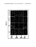 SMALL MOLECULE INHIBITORS OF FIBROSIS diagram and image