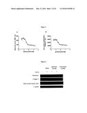 SMALL MOLECULE INHIBITORS OF FIBROSIS diagram and image