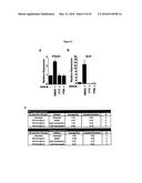 SMALL MOLECULE INHIBITORS OF FIBROSIS diagram and image