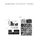 SMALL MOLECULE INHIBITORS OF FIBROSIS diagram and image