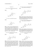 SUBSTITUTED 4-PYRIDONES AND THEIR USE AS INHIBITORS OF NEUTROPHIL ELASTASE     ACTIVITY diagram and image