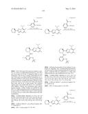 PYRAZOLO[1,5-A]PYRIMIDINES FOR ANTIVIRAL TREATMENT diagram and image