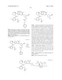 PYRAZOLO[1,5-A]PYRIMIDINES FOR ANTIVIRAL TREATMENT diagram and image