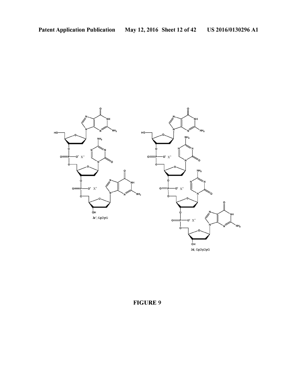 Oligonucleotide Analogues Incorporating 5-Aza-Cytosine Therein - diagram, schematic, and image 13