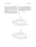 NOVEL CYCLOSPORIN ANALOGUES FOR PREVENTING OR TREATING HEPATITIS C     INFECTION diagram and image